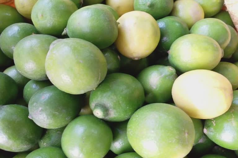 Lemon Price Hike : લ્યો બોલો..! લીંબુની સુરક્ષામાં કરાયો વધારો, જૂનાગઢ યાર્ડમાં લીંબુ પર CCTV-ચોકીદારોની ત્રીજી આંખ