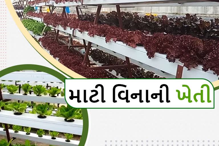 Farming with hydroponic technology