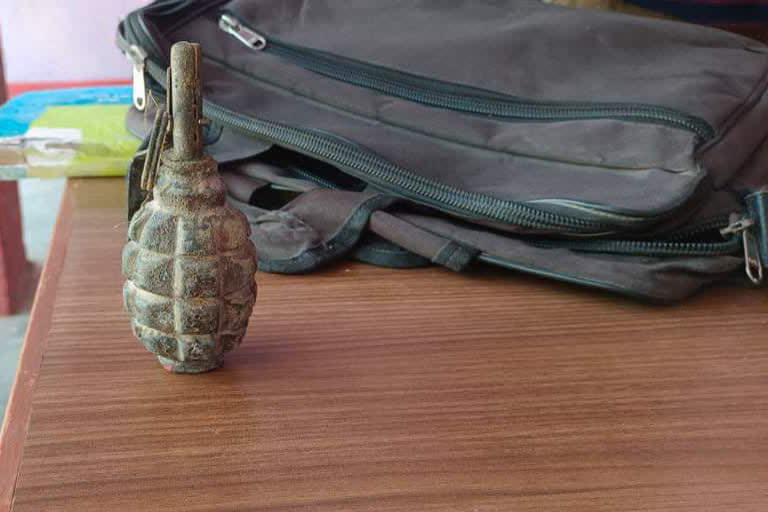 Villagers found hand grenade in pond