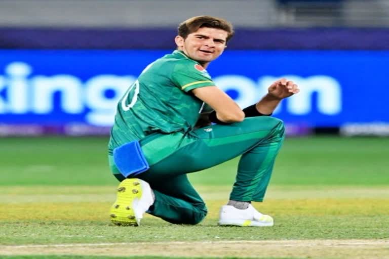 ICC T20 bowling rankings  ICC T20  bowling rankings  KL Rahul  केएल राहुल  आईसीसी टी20 रैंकिंग  शाहीन अफरीदी  खेल समाचार  shaheen afridi  sports news