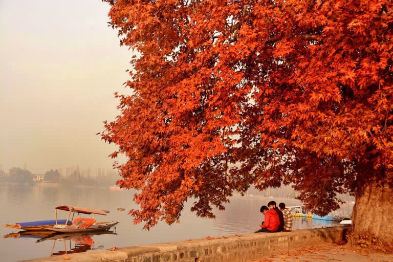 Adverse travel advisories kill foreign tourism in Kashmir