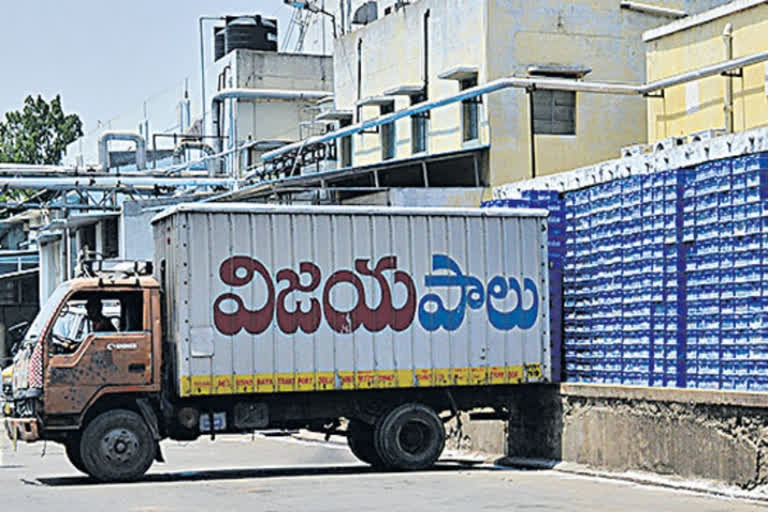 vijaya milk