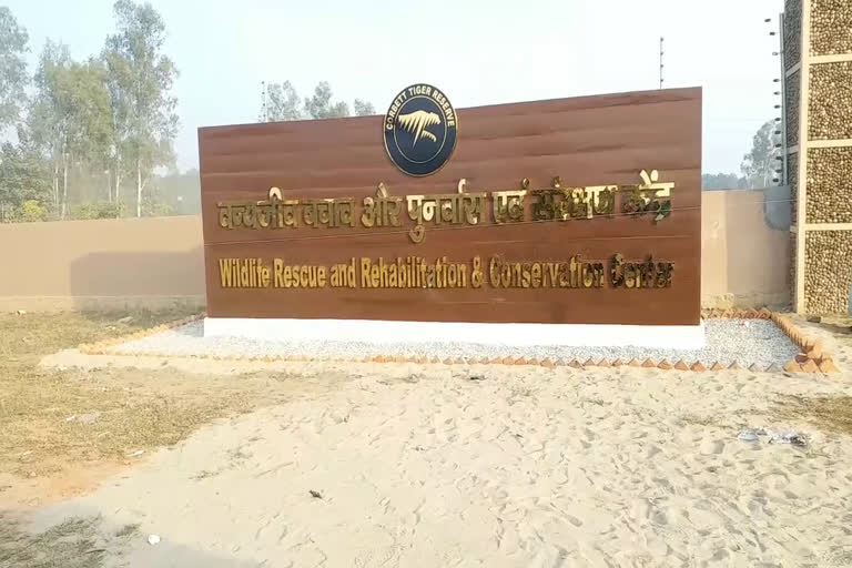 Corbett national park latest news