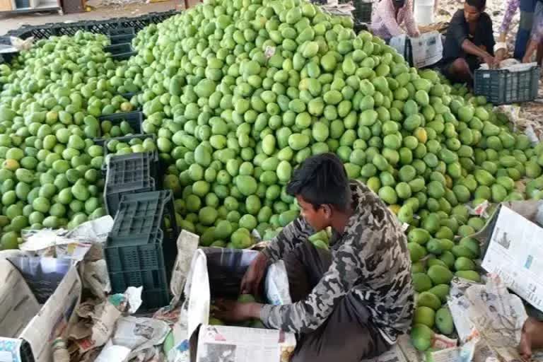 inflation hit in jharkhand 8 times increase raw mango price in ranchi