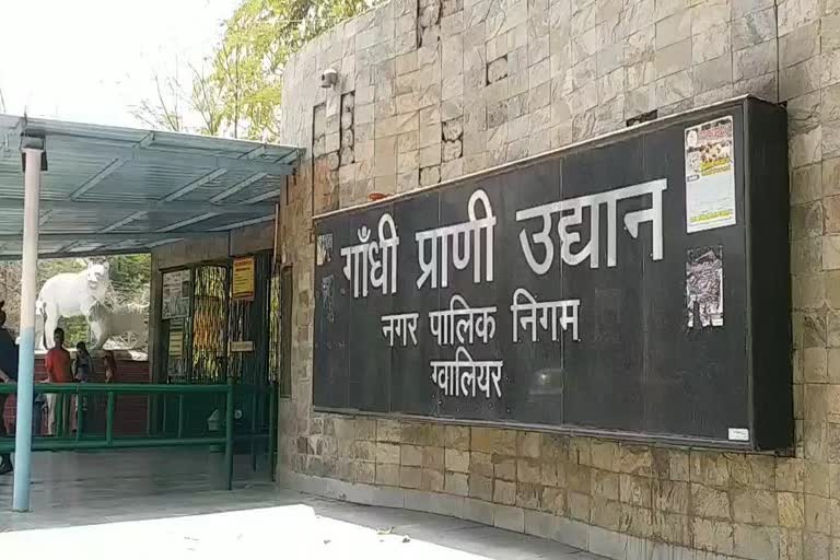 Gwalior Gandhi Zoological Park