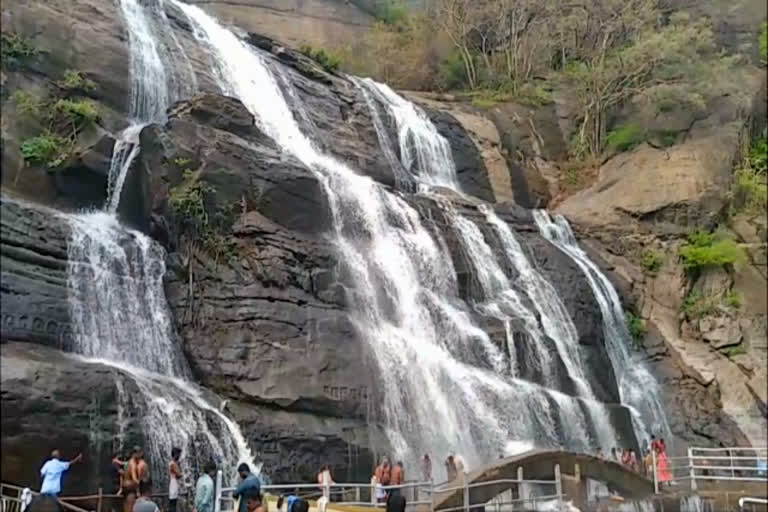 continuous rains  water level increase in waterfalls  kutralam falls  water level increase in kutralam falls  அருவிகளில் நீர்வரத்து அதிகரிப்பு  தொடர் மழையால் அருவிகளில் நீர்வரத்து அதிகரிப்பு  தமிழ்நாட்டில் தொடர் மழை  மேற்கு தொடர்ச்சி மலை  மேற்கு தொடர்ச்சி மலையில் தொடர் மழை  குற்றாலம் அருவி