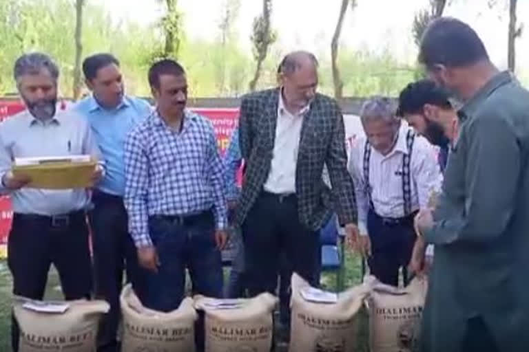 Seeds Distribution in Pulwama