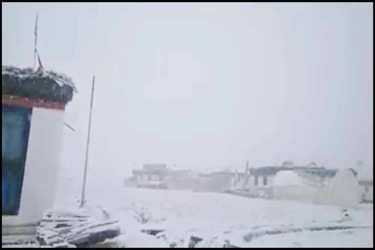 Snowfall in Lahaul Spiti