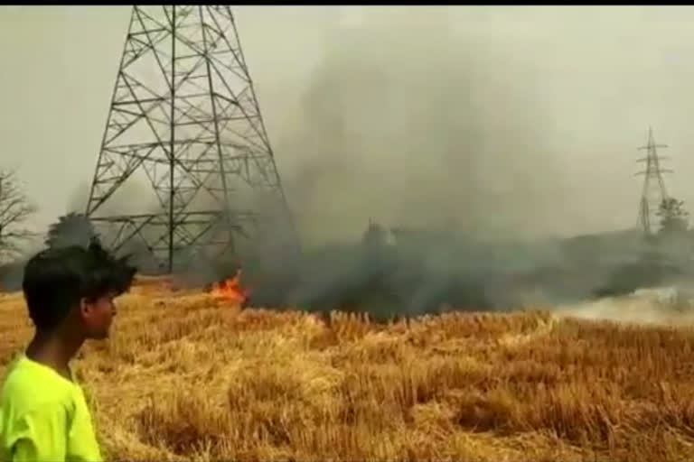 28 bigha of wheat crop gutted by fire in ghaziabad