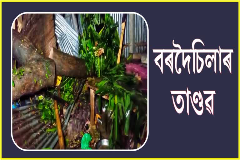 One person died in Heavy storm lashes Barpeta