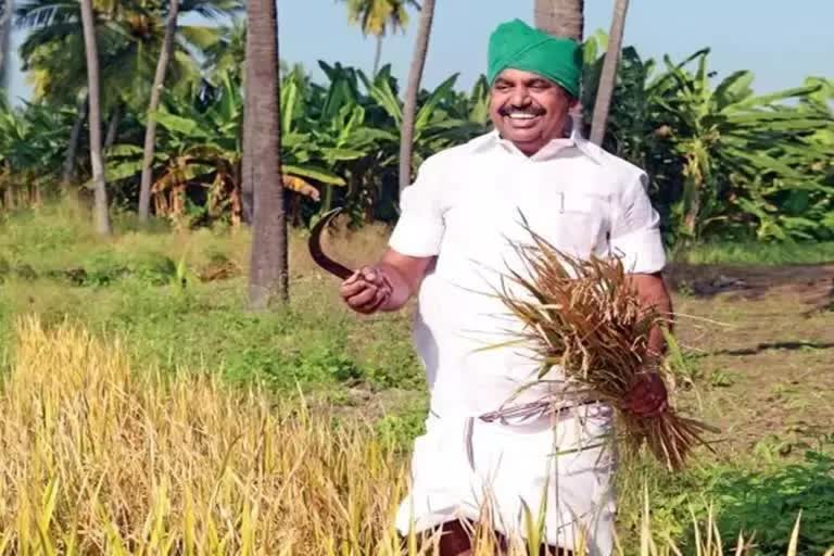 edappadi-palanisamy-says-purchased-paddy-bundles-soaked-in-rain-and-loss-to-the-stateதிமுக அரசின் நிர்வாக திறமையின்மை.. கொள்முதல் செய்யப்பட்ட நெல் மூட்டைகள் மழையில் நனைந்து அரசுக்கு இழப்பு - எடப்பாடி