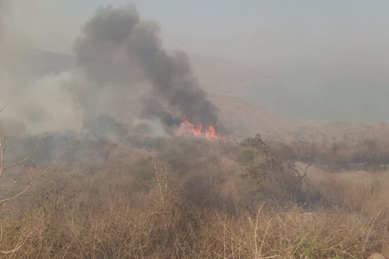 fire in Palitana hill: પાલીતાણાના હસ્તગીરીના ડુંગર વિસ્તારમાં આગ લાગી, ભારે જહેમત બાદ કાબુ લેવાયો