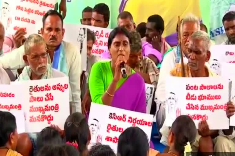 YS Sharmila:  'పంట సాగు చేయని రైతులకు ఎకరానికి 25 వేల నష్టపరిహారం చెల్లించాలి'