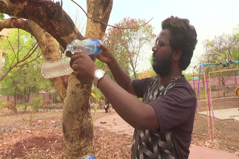 During the summer the water sources have become a problem for birds