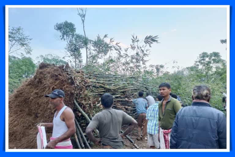 three-women-died-when-tree-uprooted-in-storm-at-tingkhong