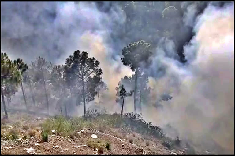 Forest fire in Kumarhatti