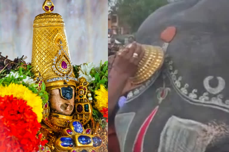 gajendra moksham  srirangam temple  srirangam temple gajendra moksham  கஜேந்திர மோட்சம்  சித்ரா பௌர்ணமி விழா  கஜேந்திரனுக்கு மோட்சம் அளித்த நம்பெருமாள்  ஸ்ரீரங்கத்தில் கஜேந்திர மோட்ச விழா