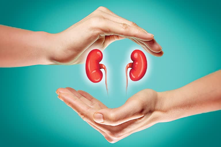 KIDNEY HEALTH TIPS