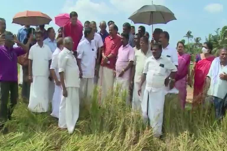 minister g r anil kuttanad  insurance scheme for paddy farmers  paddy farmers in kuttanad  നെല്ല് കർഷകർക്കായി പുതിയ ഇൻഷുറൻസ് പദ്ധതി  മന്ത്രി ജി ആർ അനിൽ നെല്ല് സംഭരണം കുട്ടനാട്