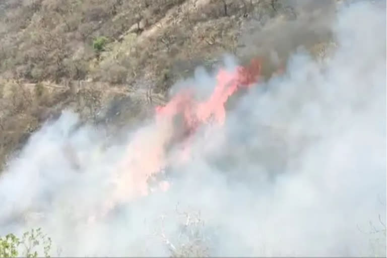 Fire continues in Sajjangarh Sanctuary hills