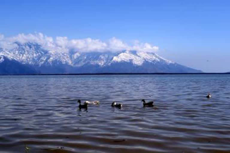 J&K: Punt gun, boat used for poaching of migratory birds seized from Wular lake