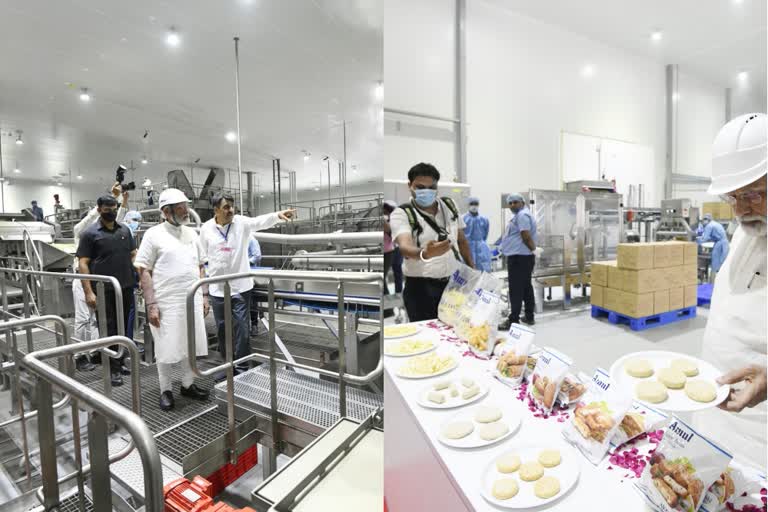 pm modi milk dairy opening