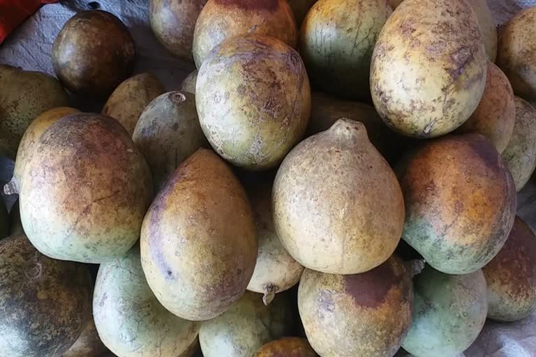 Wood fruit Market in Raipur