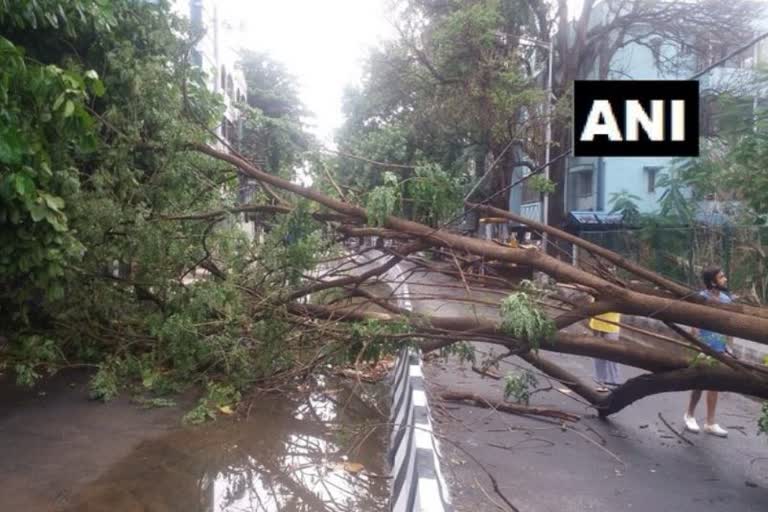 assam  assam storm death  storm  storm death  അസം കൊടുങ്കാറ്റ്  അസം കൊടുങ്കാറ്റ്; 23 മരണം സംഭവിച്ചതായി റിപ്പോർട്ട്  അസം കൊടുങ്കാറ്റ് റിപ്പോർട്ട്  അസം കൊടുങ്കാറ്റ് നാശനഷ്‌ട വിലയിരുത്തൽ