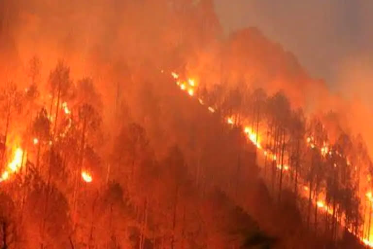 Forest Fire in Uttarakhand