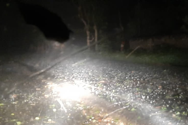 hailstorm in many districts of Bihar