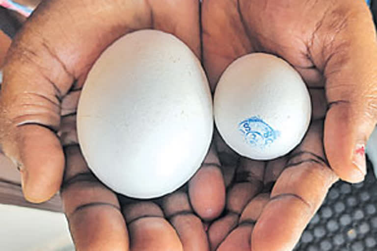 Eggs size decreased in Anganwadi centres