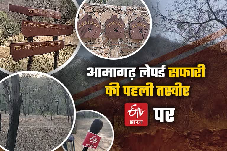 Amagarh Leopard Safari with ETV Bharat