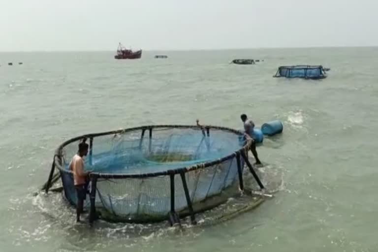 fish farming with new technology in balsore