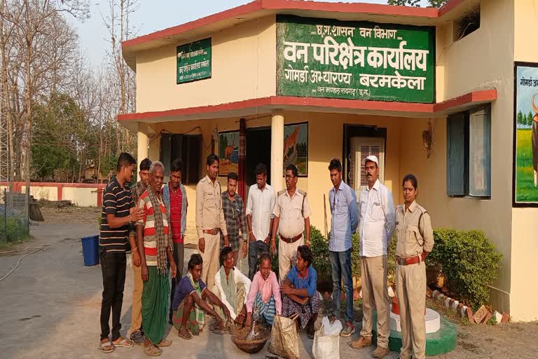 Samhar hunting in Raigarh