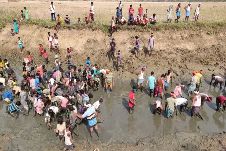 bihar village celebrates fish utsav  bihar fish utsav latest  villagers catch and distribute fish in bihar  ബിഹാർ മത്സ്യ ഉത്സവം  ബിഹാർ ഗ്രാമം മത്സ്യബന്ധനം ആചാരം  സര്‍വ ഗ്രാമം മീന്‍ പിടിത്തം