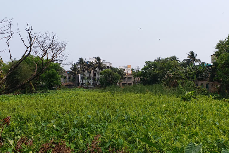 TMC leader allegedly filling pond with hot mix plant rubbish in Kolkata