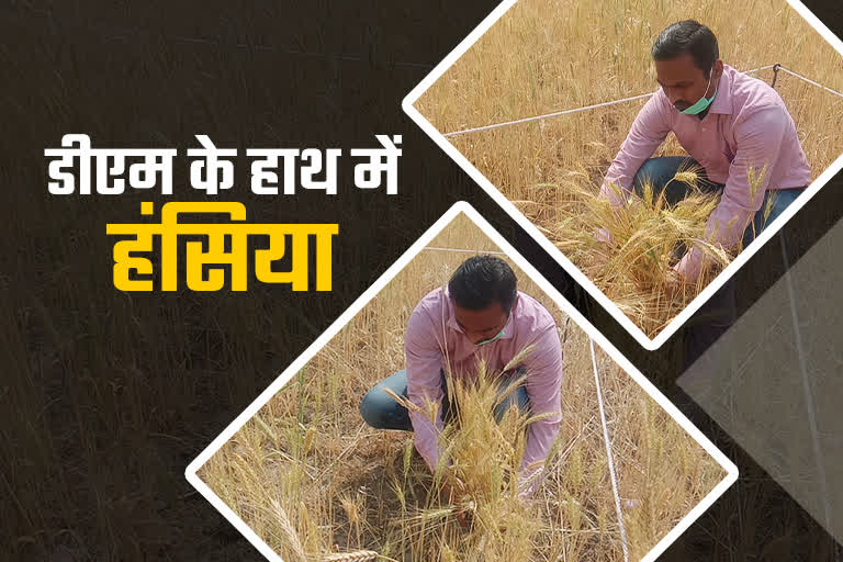 inaugurated the crop cutting