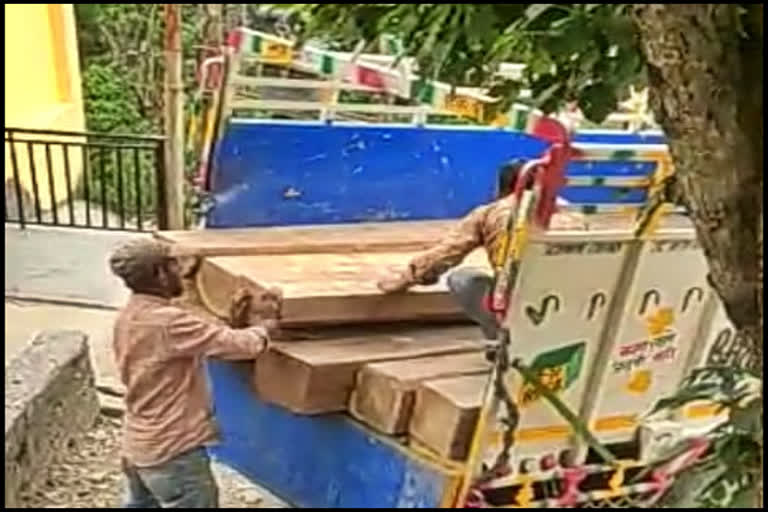 Illegal felling deodar trees in Kajwa