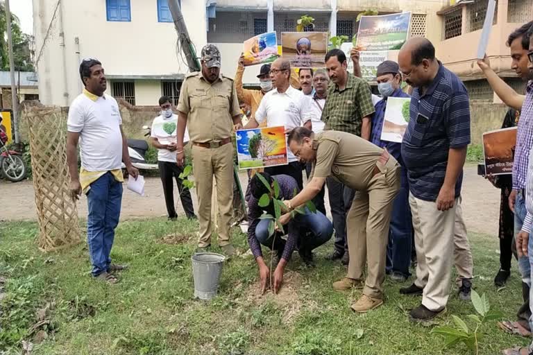 Tree cutting of Malda