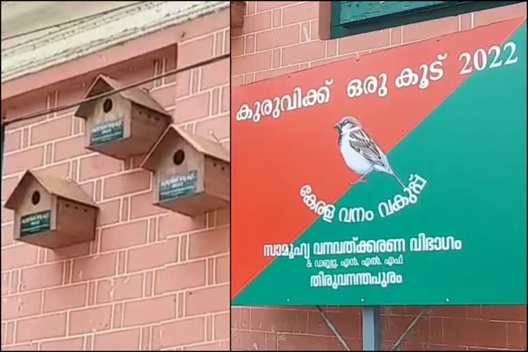 forest dept project for house sparrows  അങ്ങാടിക്കുരുവികള്‍ക്ക് അതിജീവന കരുത്തേകാന്‍ ഇടപെടല്‍  തിരുവനന്തപുരത്ത് 'കുരുവിക്കൊരു കൂട് പദ്ധതി'യുമായി വനംവകുപ്പ്  തിരുവനന്തപുരം ഇന്നത്തെ വാര്‍ത്ത  Thiruvananthapuram todays news  kerala forest dept special nests for house sparrows