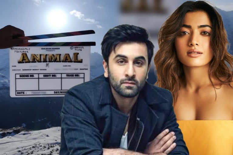 Ranbir Rashmika begin Animal shoot  animal shoot begins  ranbir kapoor begins animal shoot  rashmika mandanna begins animal shoot  ranbir kapoor film animal  രൺബീർ-രശ്‌മിക ചിത്രം  രൺബീർ-രശ്‌മിക ചിത്രം ആനിമൽ  ട്രേഡ് അനലിസ്റ്റ് തരൺ ആദർശ്  ആനിമൽ  രൺബീർ-രശ്‌മിക ചിത്രം ആനിമൽ ഷൂട്ട് മണാലി