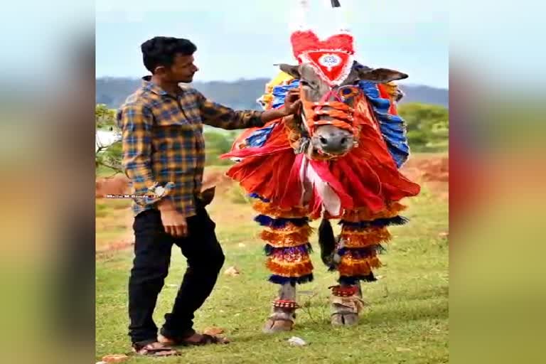 ಹೋರಿ ತಿವಿದು ಯುವಕ ಮೃತ