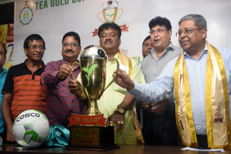 Tea Gold Cup News