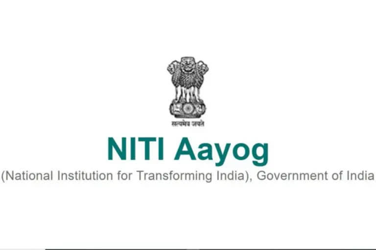 NITI Aayog Vice Chairman