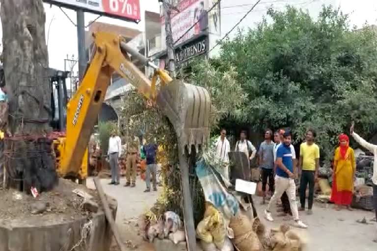 In Dadri Municipal Council launched a bulldozer on encroachment