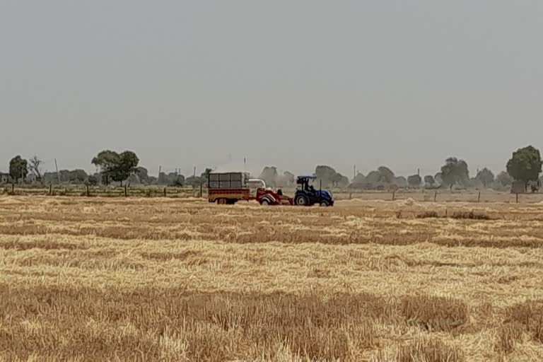 Farmers Engaged in illegal stubble burning in Kota
