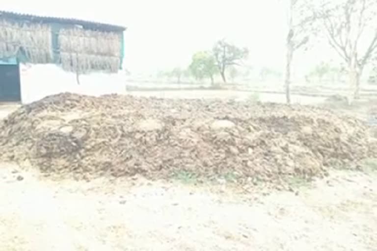 Dung purchase stopped in Kaitha village