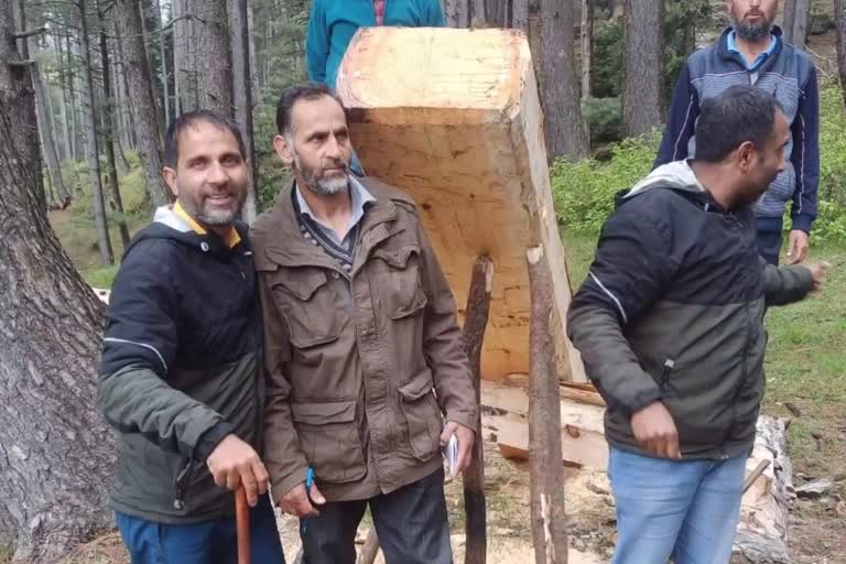 Illegal Timber Seized in Bandipora: بانڈی پورہ میں اسمگل کی جا رہی عمارتی لکڑی ضبط