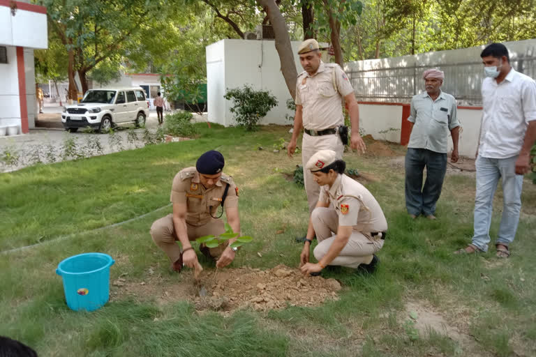 पाैधराेपण