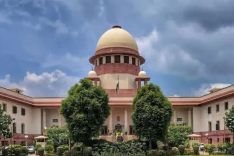 SC declined to allow UP to set up new wood based industries